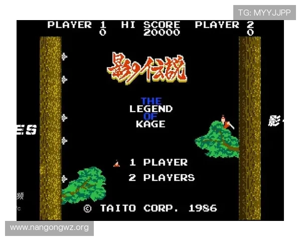 fc经典游戏秘籍分享,提升游戏体验和战斗力的实用技巧汇总