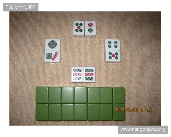 二八杠游戏大全：二八杠游戏的历史发展与未来趋势分析