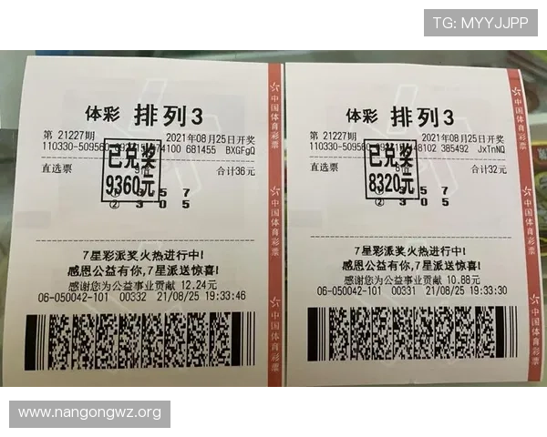 基诺型彩票和乐透型彩票的区别在哪里，购买前必看的详细比较指南